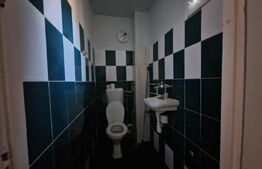 Casa individuala, 4 camere, 200mp, zona Somesului