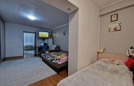 Apartament 1 camera, 40mp, Iris