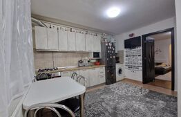 Apartament 1 camera, 40mp, Iris