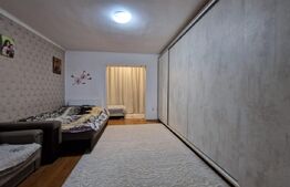 Apartament 1 camera, 40mp, Iris