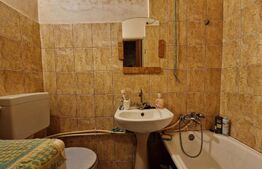 Garsoniera, 21mp, etaj intermediar, Someseni