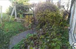 1 camera, 32 mp utili, imobil de tip casa/vila, terasa 12 mp, zona Piata Cipariu