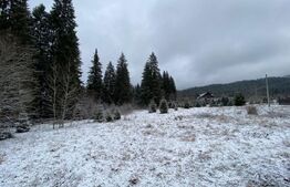 Vila cu potential de transformare in pensiune, 13 camere, Timisul de Sus, Brasov