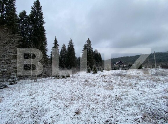 Casa de vânzare 13 camere Timisu de Sus - 143621CV | BLITZ Brașov | Poza18