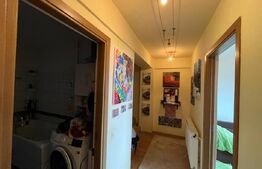 Apartament 3 camere, decomandat, garaj, Zona Muzeul Apei !