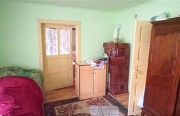 Casă cu grădină generoasă | Crizbav