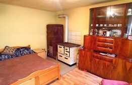 Casă cu grădină generoasă | Crizbav