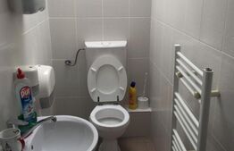 Apartament pe 2 nivele, 169 mp utili, 2 balcoane, zona strazii Frunzisului