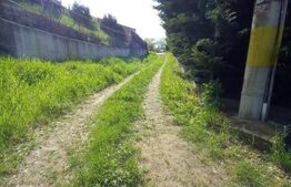 Teren 500 mp, pentru hala industriala, service auto, Calea Frunzisului!