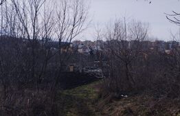 Teren 500 mp, pentru hala industriala, service auto, Calea Frunzisului!