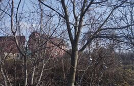 Teren 500 mp, pentru hala industriala, service auto, Calea Frunzisului!