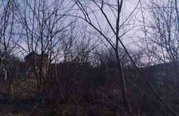 Teren 500 mp, pentru hala industriala, service auto, Calea Frunzisului!