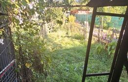 Casa 1 camera, 88 mp construiti, 210 mp teren, zona Piata 1 Mai