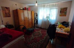 Casa 190 mp utili, 300 mp curte, zona strazii Maramuresului