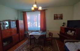 Casa tip duplex, 126 mp utili, 479 mp curte, cartier Andrei Muresanu