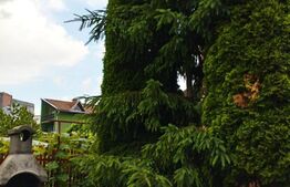 Oportunitate! Casa cu 6 camere, 230 mp, 389 mp teren, zona Farmec