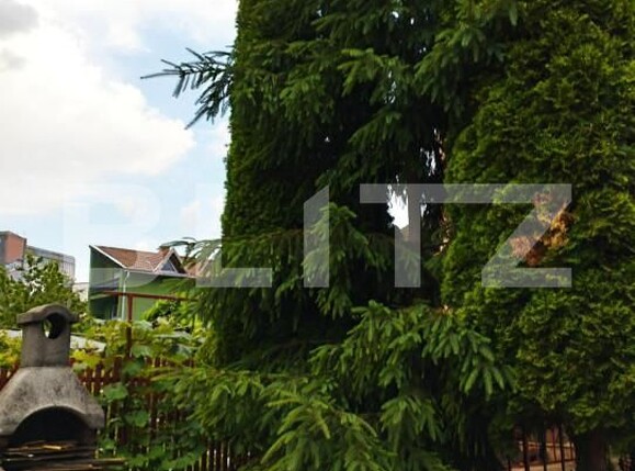 Casa de vânzare 6 camere Marasti - 143690CV | BLITZ Cluj-Napoca | Poza19