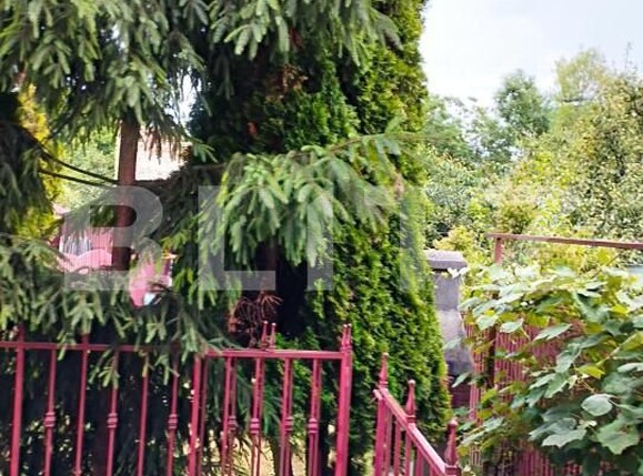 Casa de vânzare 6 camere Marasti - 143690CV | BLITZ Cluj-Napoca | Poza17