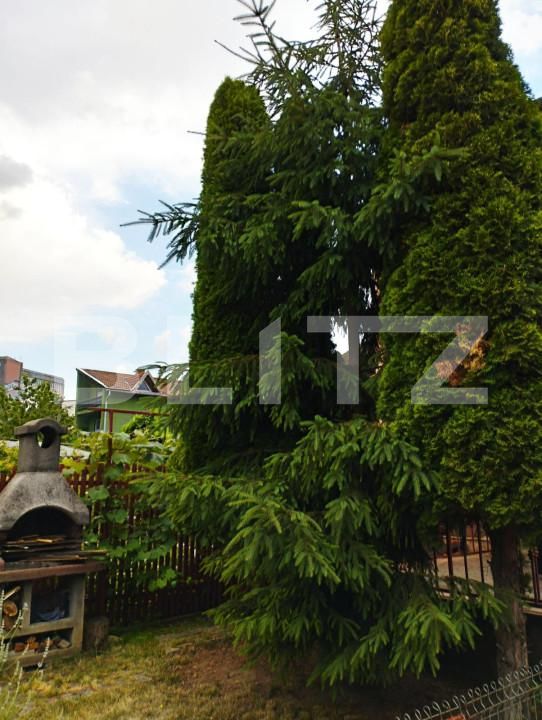 Casa de vânzare 6 camere Marasti - 143690CV | BLITZ Cluj-Napoca | Poza19