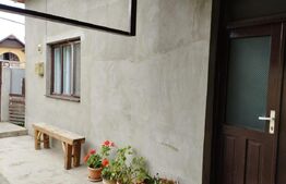 Casa cu 4 camere, 93 mp, 297 mp teren, Someseni