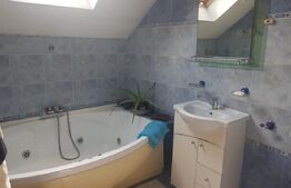 Casa de vanzare langa Cluj Arena, 482 mp utili, 385 mp teren, zona centrala!