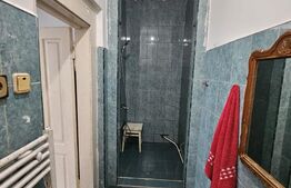 Oportunitate! Apartament la casa, 37 mp utili, zona Horea!