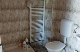 Oportunitate! Casa 200 mp, 600 mp teren, Cipariu