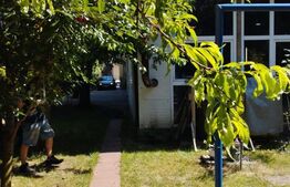 Oportunitate! Casa 200 mp, 600 mp teren, Cipariu