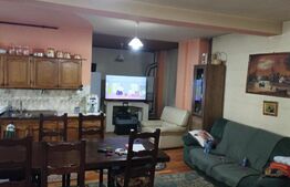 Oportunitate! Casa 200 mp, 600 mp teren, Cipariu