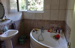 Oportunitate! Casa 200 mp, 600 mp teren, Cipariu