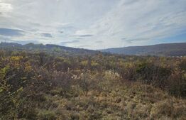 Teren de investitie! 600 mp, cartier Europa!