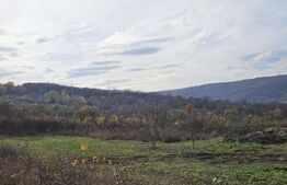 Teren de investitie! 600 mp, cartier Europa!