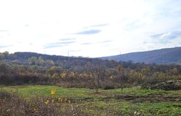 Teren de investitie! 600 mp, cartier Europa!