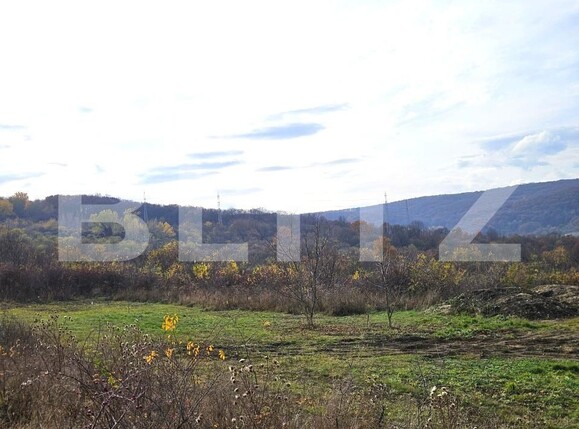 Teren de vânzare Europa - 143699TV | BLITZ Cluj-Napoca | Poza1