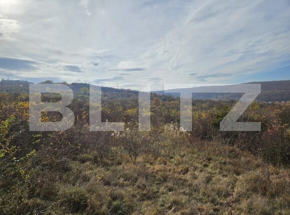 Teren de vânzare Europa - 143699TV | BLITZ Cluj-Napoca | Poza3