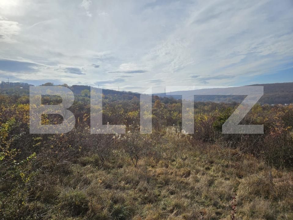 Teren de vânzare Europa - 143699TV | BLITZ Cluj-Napoca | Poza2
