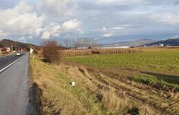 Oportunitate! Teren 25500 mp, pentru hale industriale, la asfalt, E576!