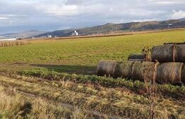 Oportunitate! Teren 25500 mp, pentru hale industriale, la asfalt, E576!