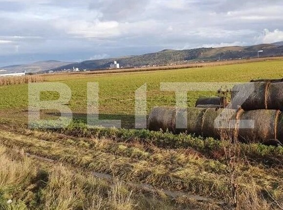 Teren de vânzare Exterior Est - 143700TV | BLITZ Cluj-Napoca | Poza4