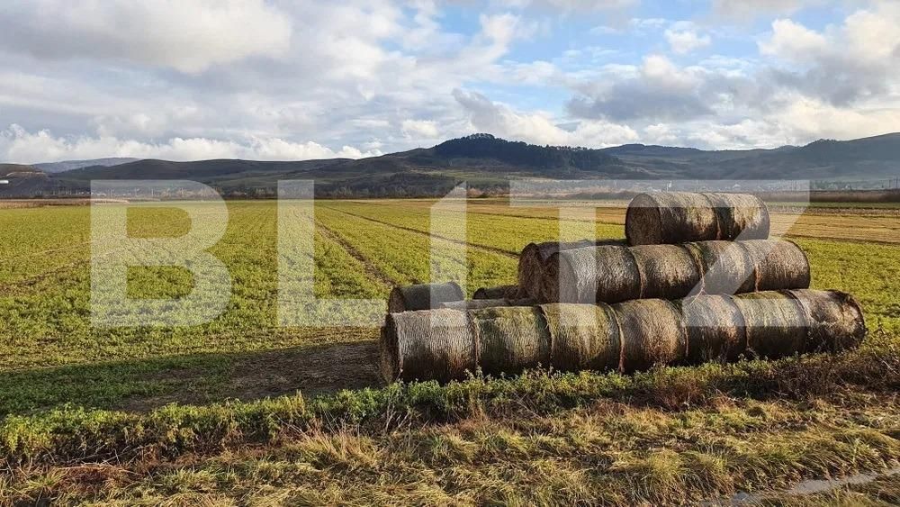 Teren de vânzare Exterior Est - 143700TV | BLITZ Cluj-Napoca | Poza3