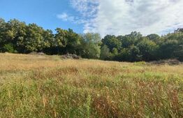 Teren intravilan, 1150 mp, Drumul Sf. Ion, Faget