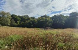 Teren intravilan, 1150 mp, Drumul Sf. Ion, Faget