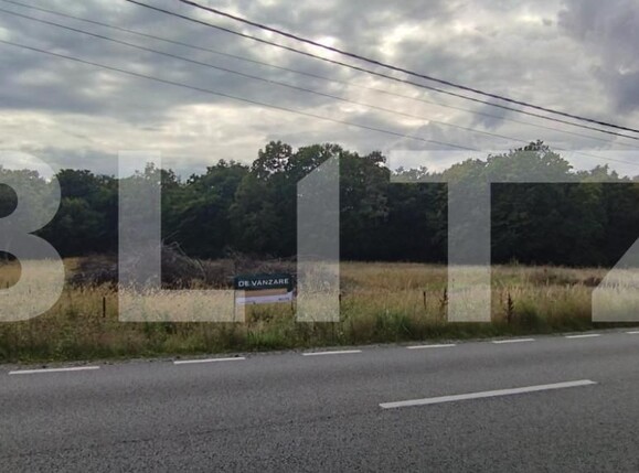 Teren de vânzare Făget - 143701TV | BLITZ Cluj-Napoca | Poza6