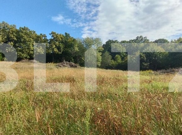 Teren de vânzare Făget - 143701TV | BLITZ Cluj-Napoca | Poza7