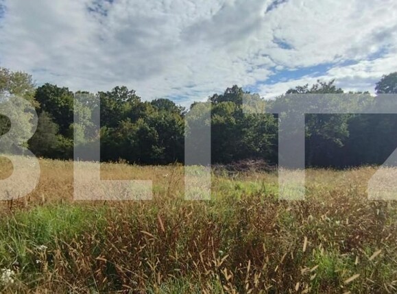 Teren de vânzare Făget - 143701TV | BLITZ Cluj-Napoca | Poza2