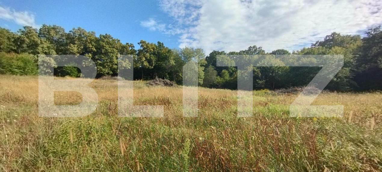 Teren de vânzare Făget - 143701TV | BLITZ Cluj-Napoca | Poza7