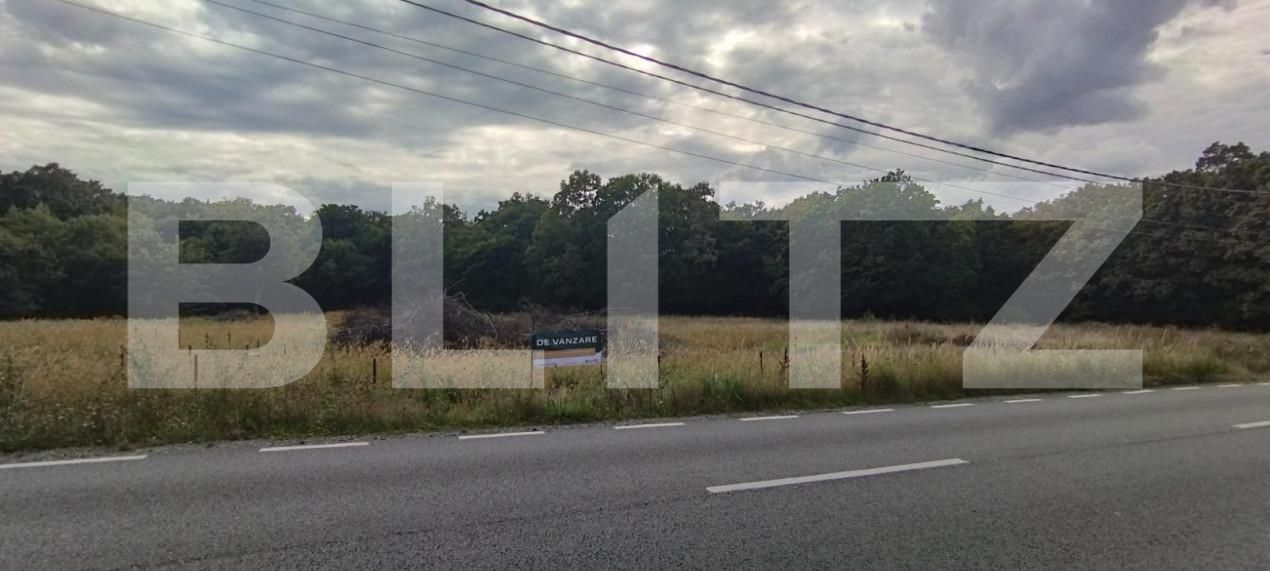 Teren de vânzare Făget - 143701TV | BLITZ Cluj-Napoca | Poza6