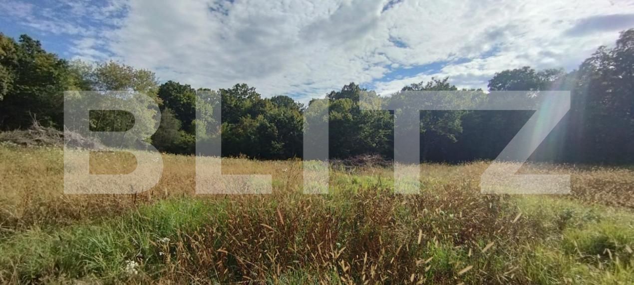 Teren de vânzare Făget - 143701TV | BLITZ Cluj-Napoca | Poza2