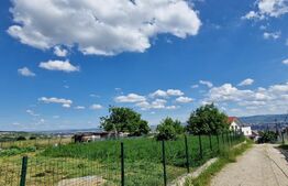 Teren intravilan 1009 mp, cu PUZ in lucru, Dâmbu Rotund