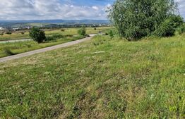 Teren intravilan 1438 mp, acces direct din centura, pretabil Parking Aeroport, zona Emerson